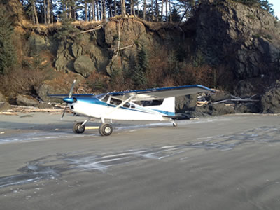 wing_alaska wing_alaska